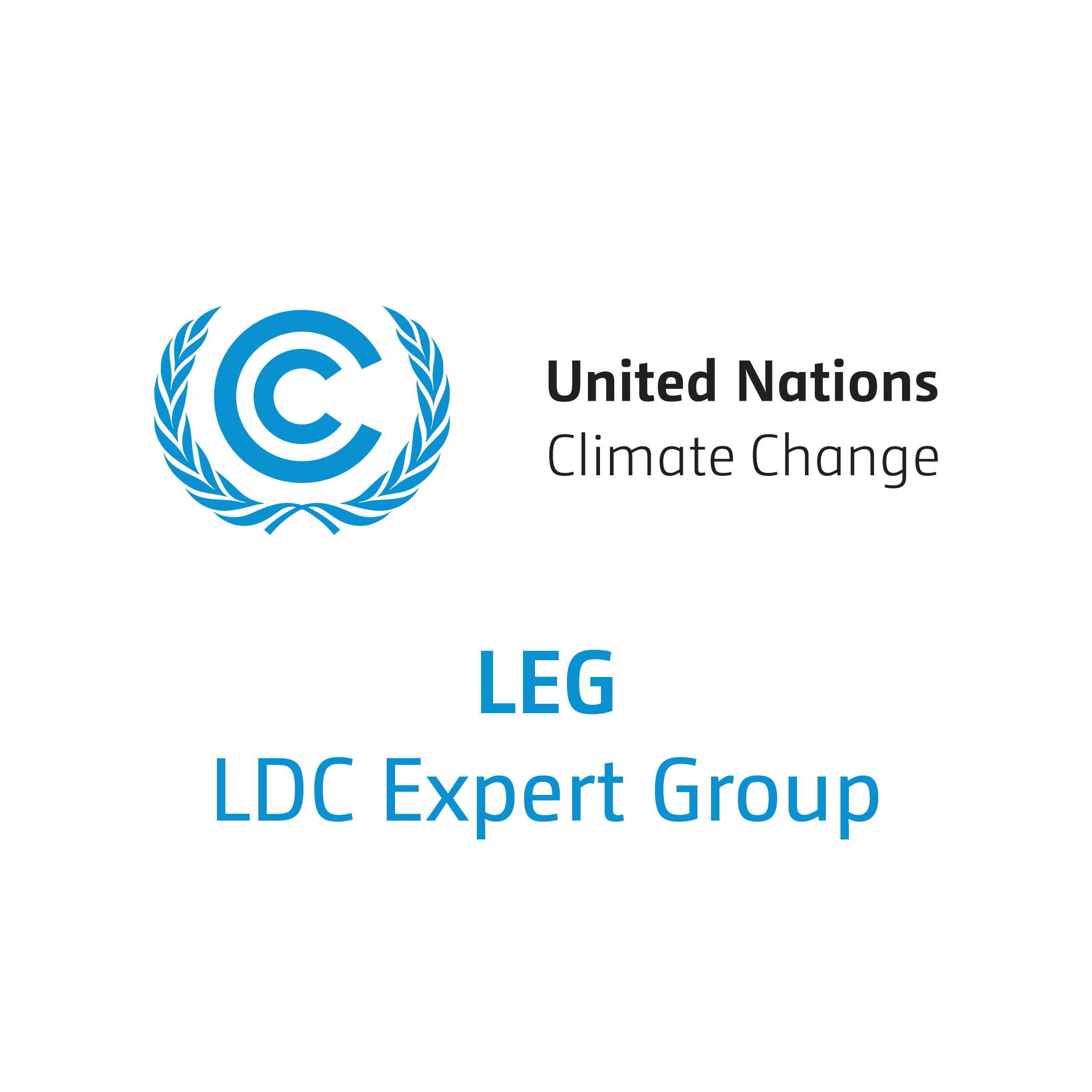 LDC Expert Group