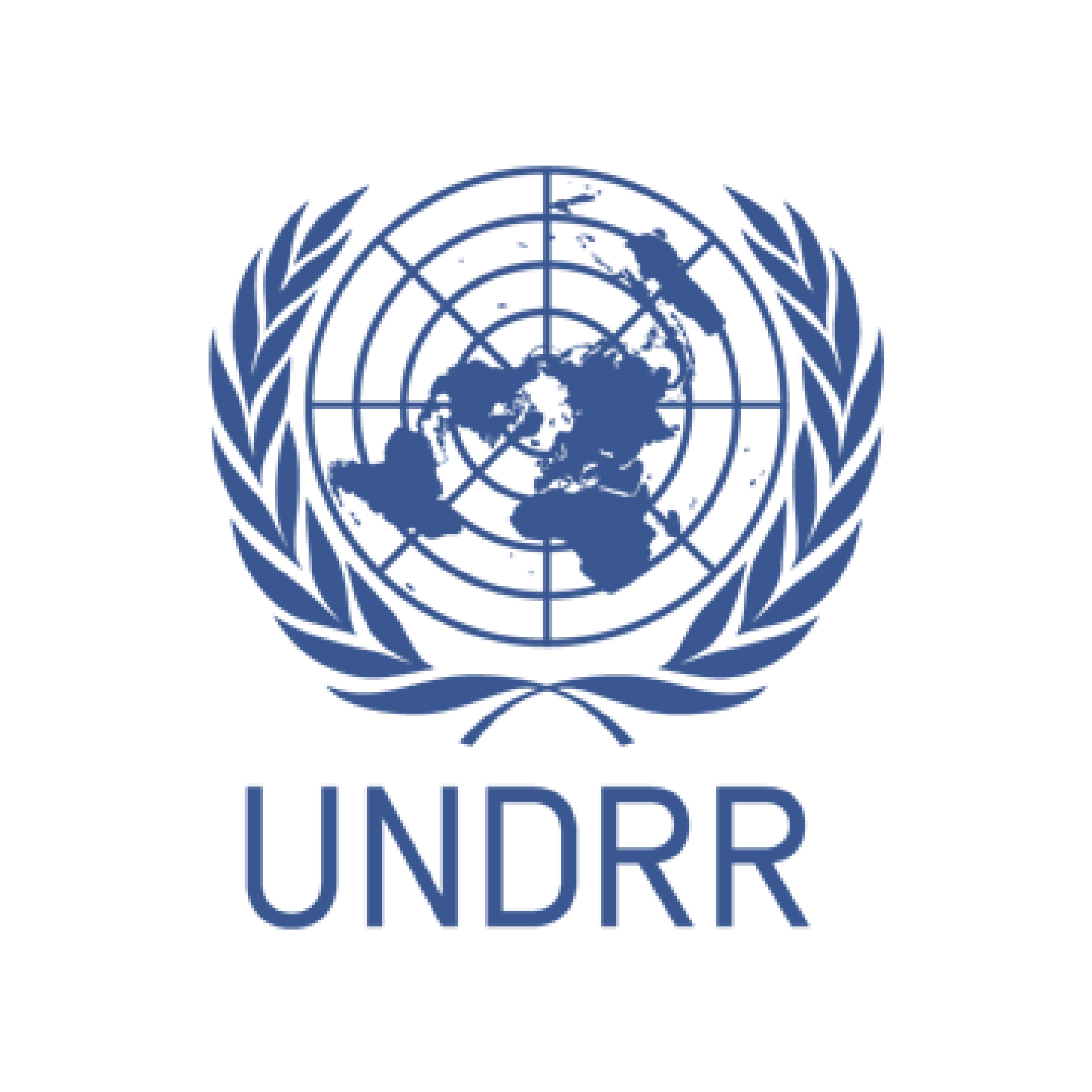 UN Disaster Risk Reduction