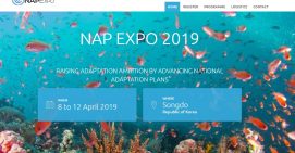 NAP Expo 2019