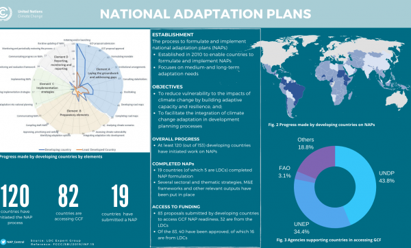 Progress on NAPs as at June 2020