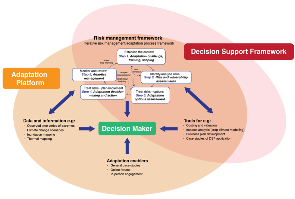 Supports framework. Карта в decision. Adaptation in Management. Iterative adaptation означает в экономике. Adapting process.