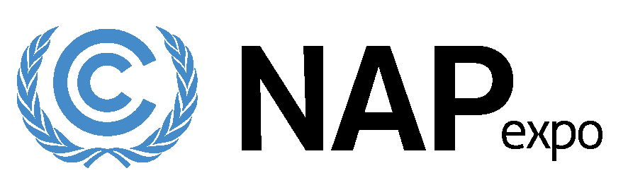 Logo NAP Expo 2022