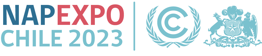 Logo NAP Expo 2023