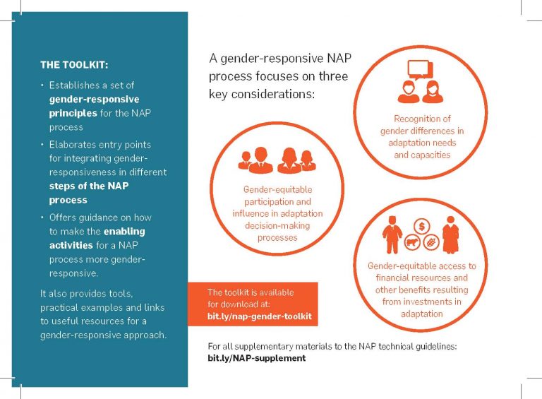 Toolkit for a Gender-Responsive Process to Formulate and Implement ...